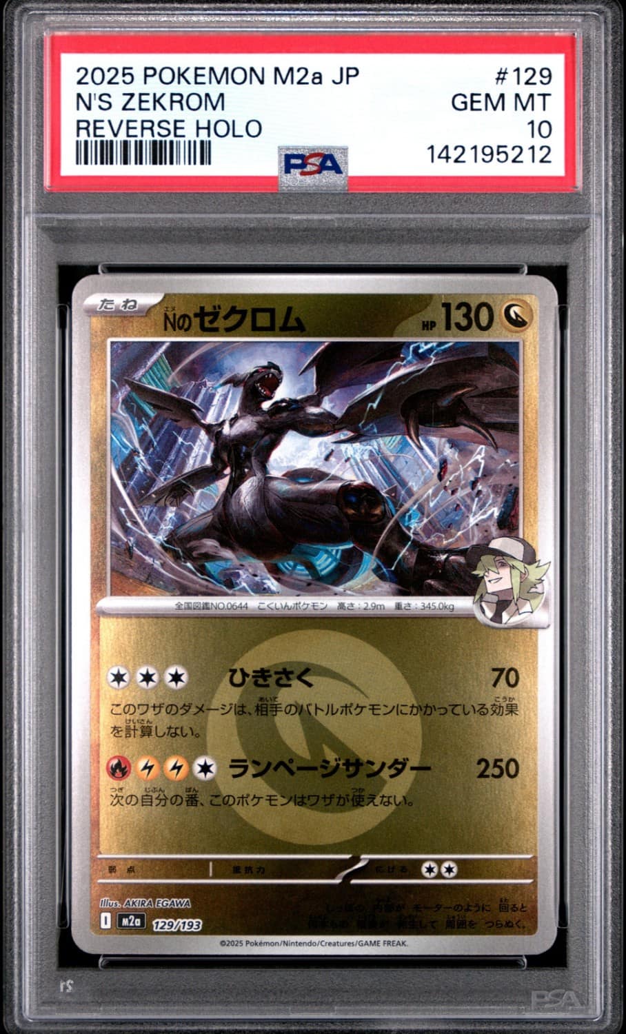 N'S Zekrom
