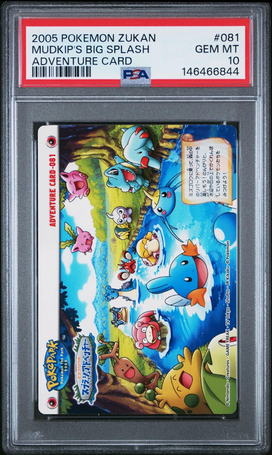 Mudkip'S Big Splash