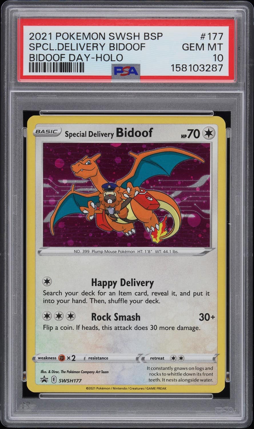 Special Delivery Bidoof