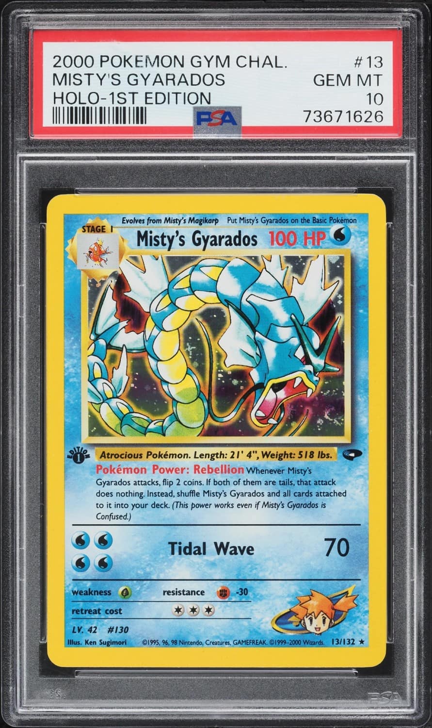 Misty'S Gyarados