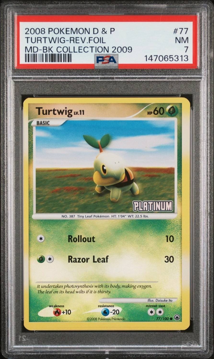 Turtwig
