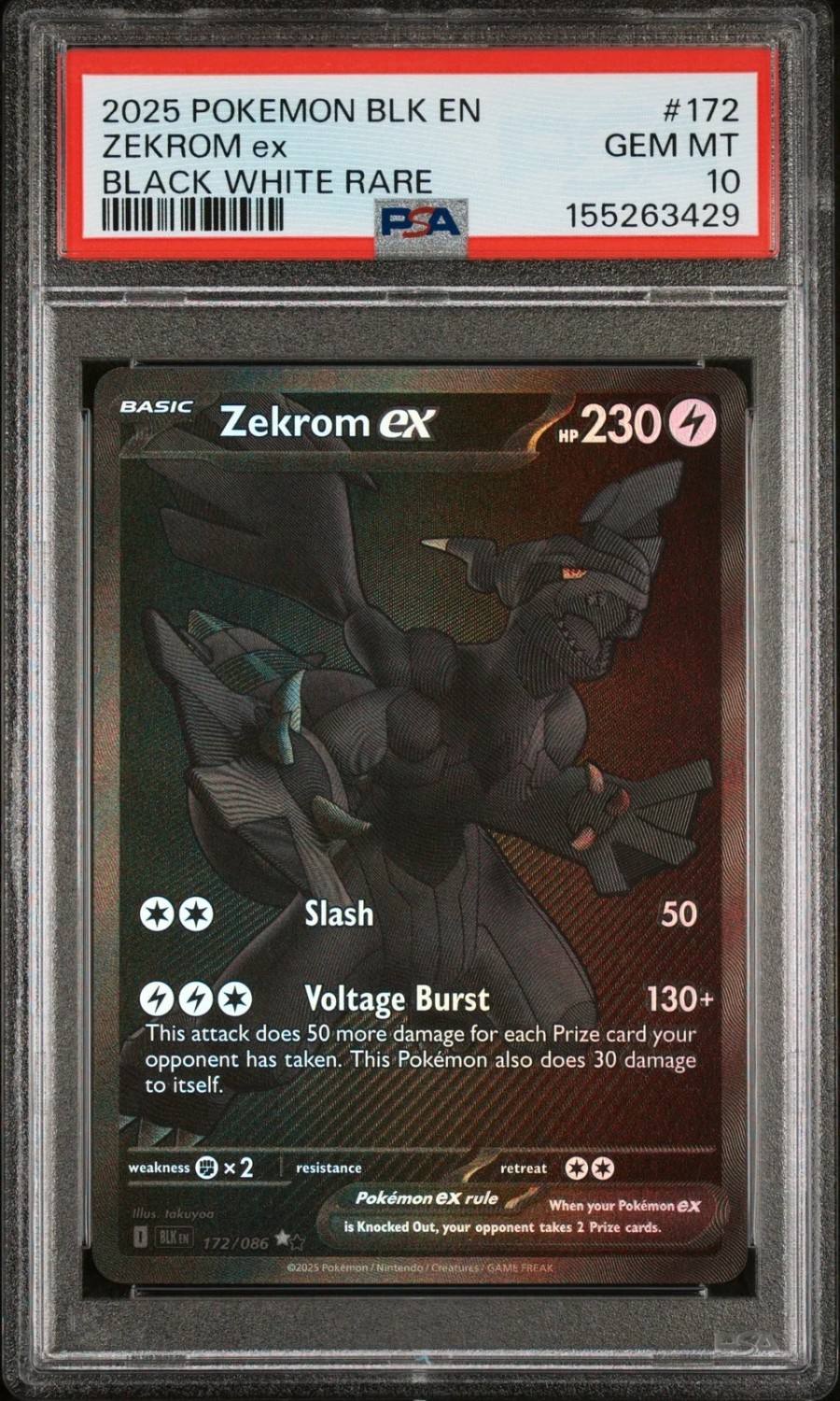 Zekrom Ex
