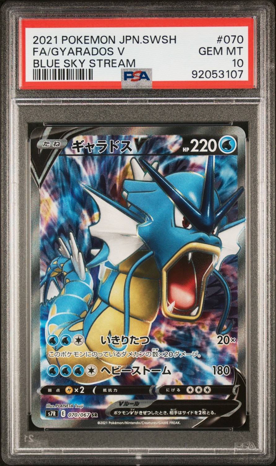 Gyarados V