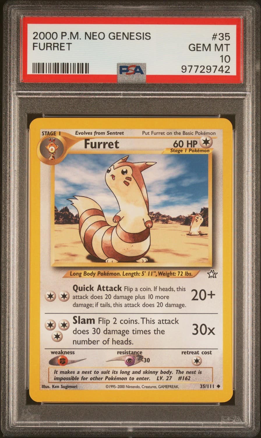 Furret