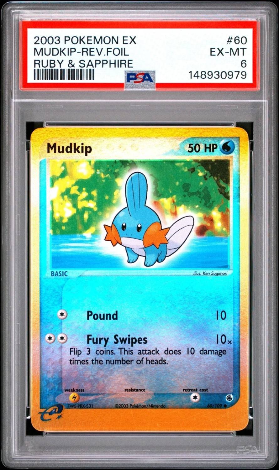 Mudkip