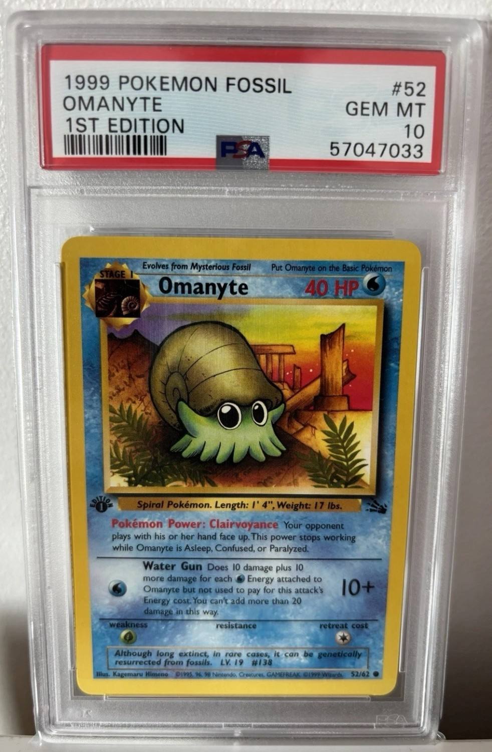 Omanyte