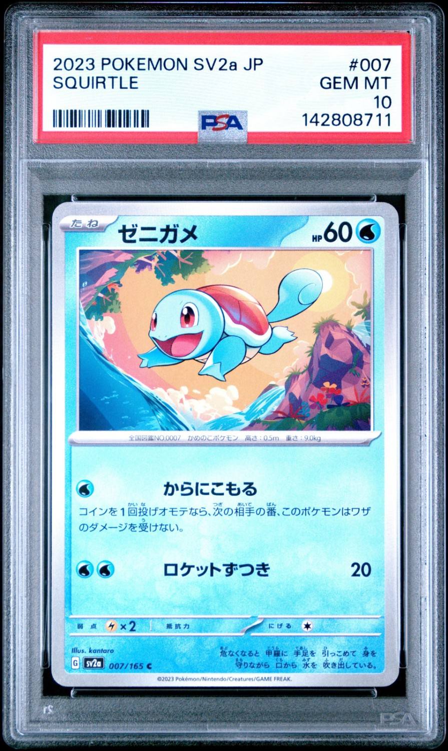 Squirtle