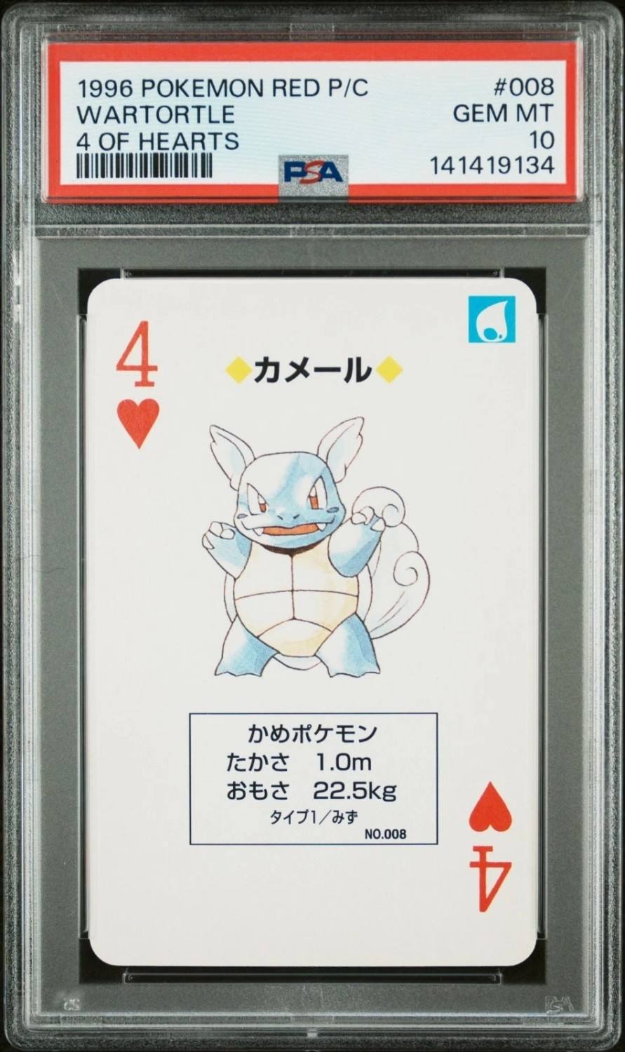 Wartortle