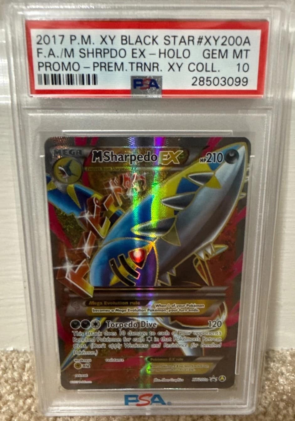 M Sharpedo Ex