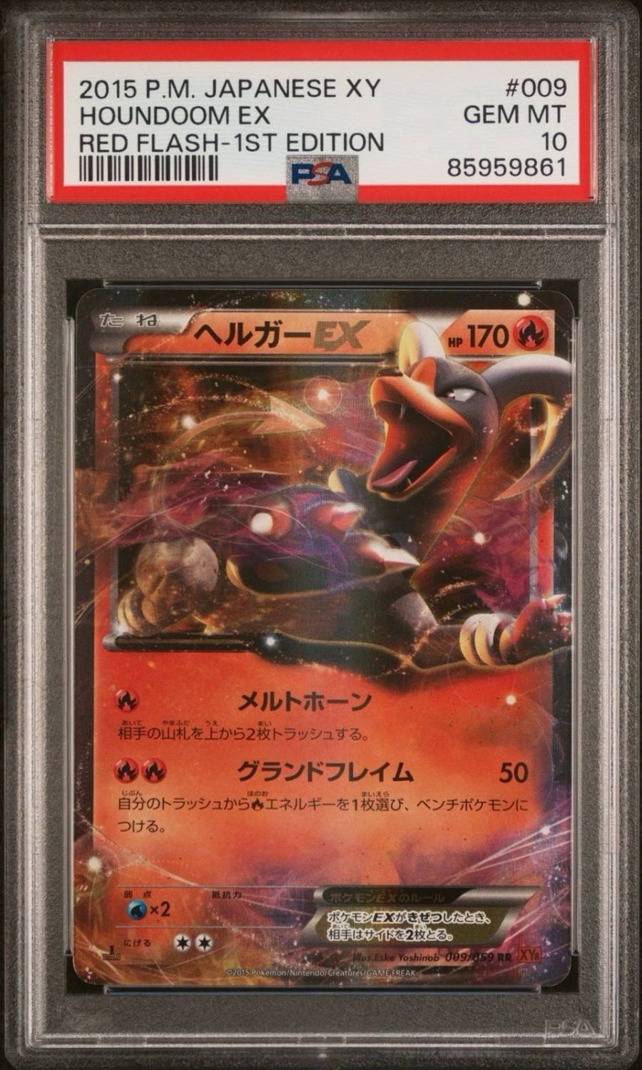 Houndoom Ex