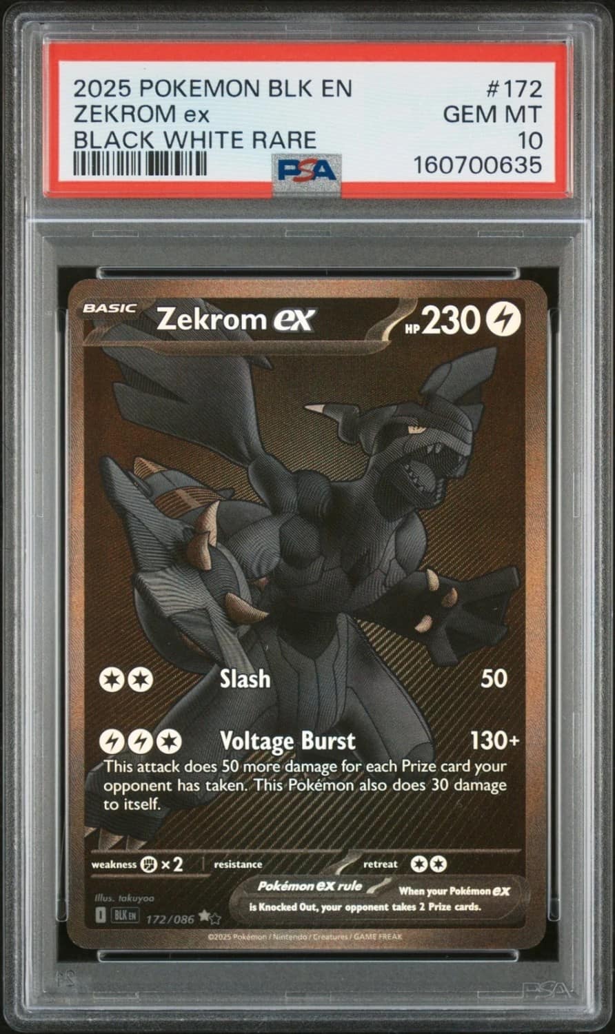 Zekrom Ex
