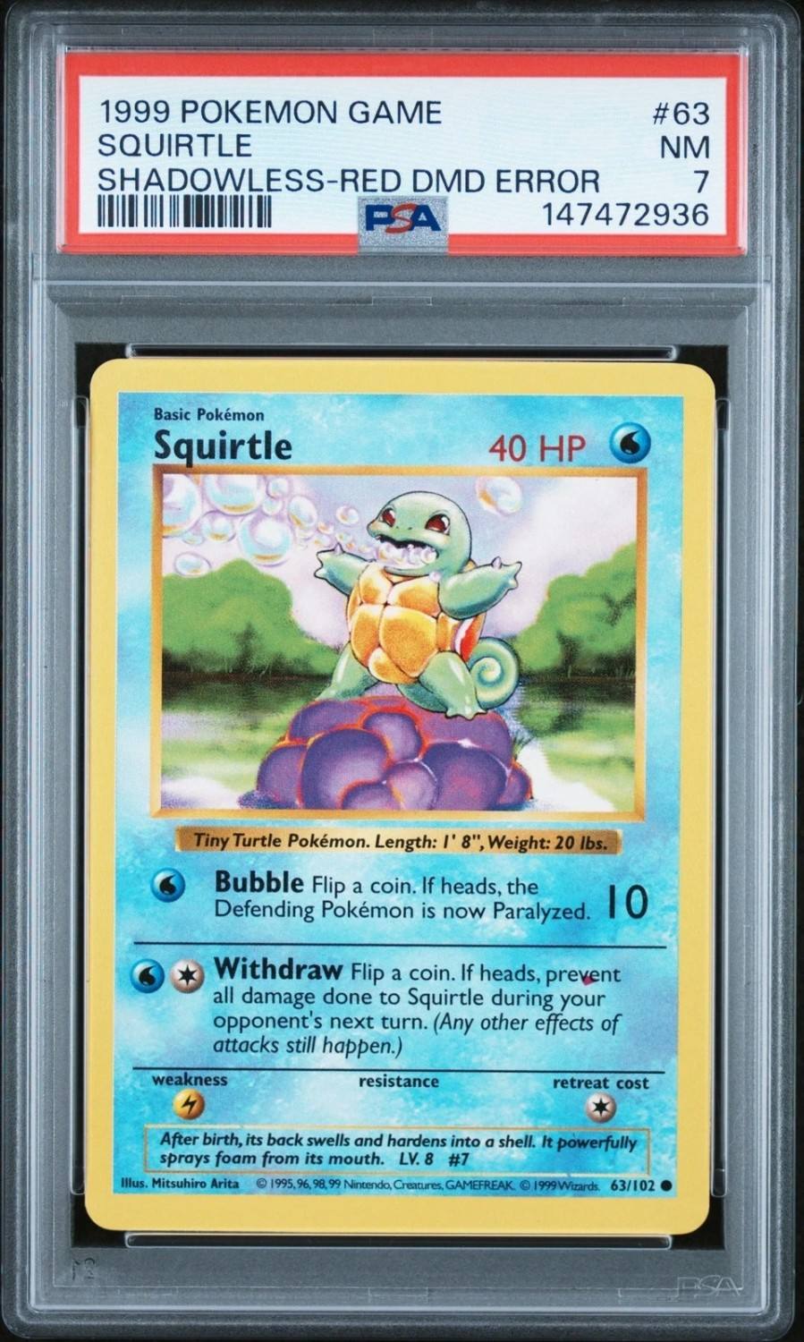 Squirtle