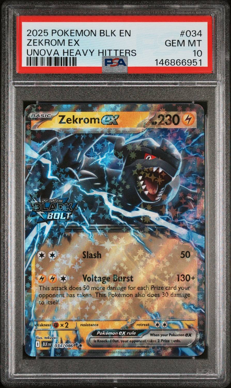 Zekrom Ex