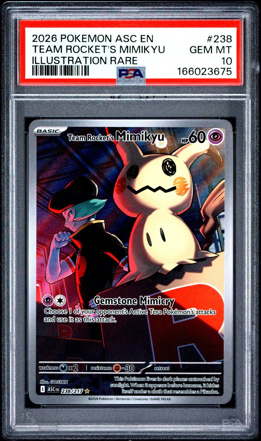 Team Rocket'S Mimikyu