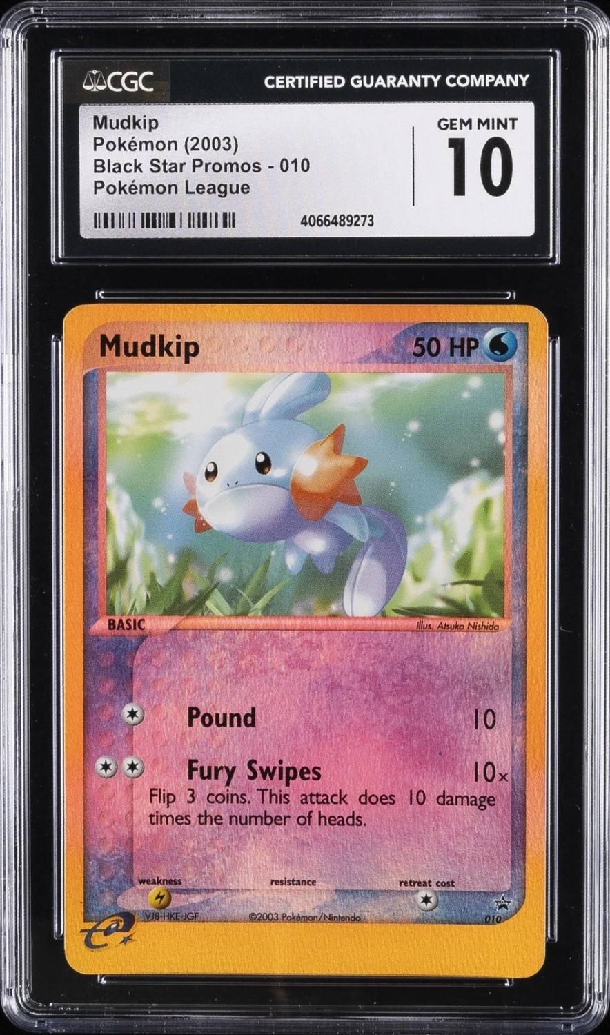 Mudkip-Rev.foil