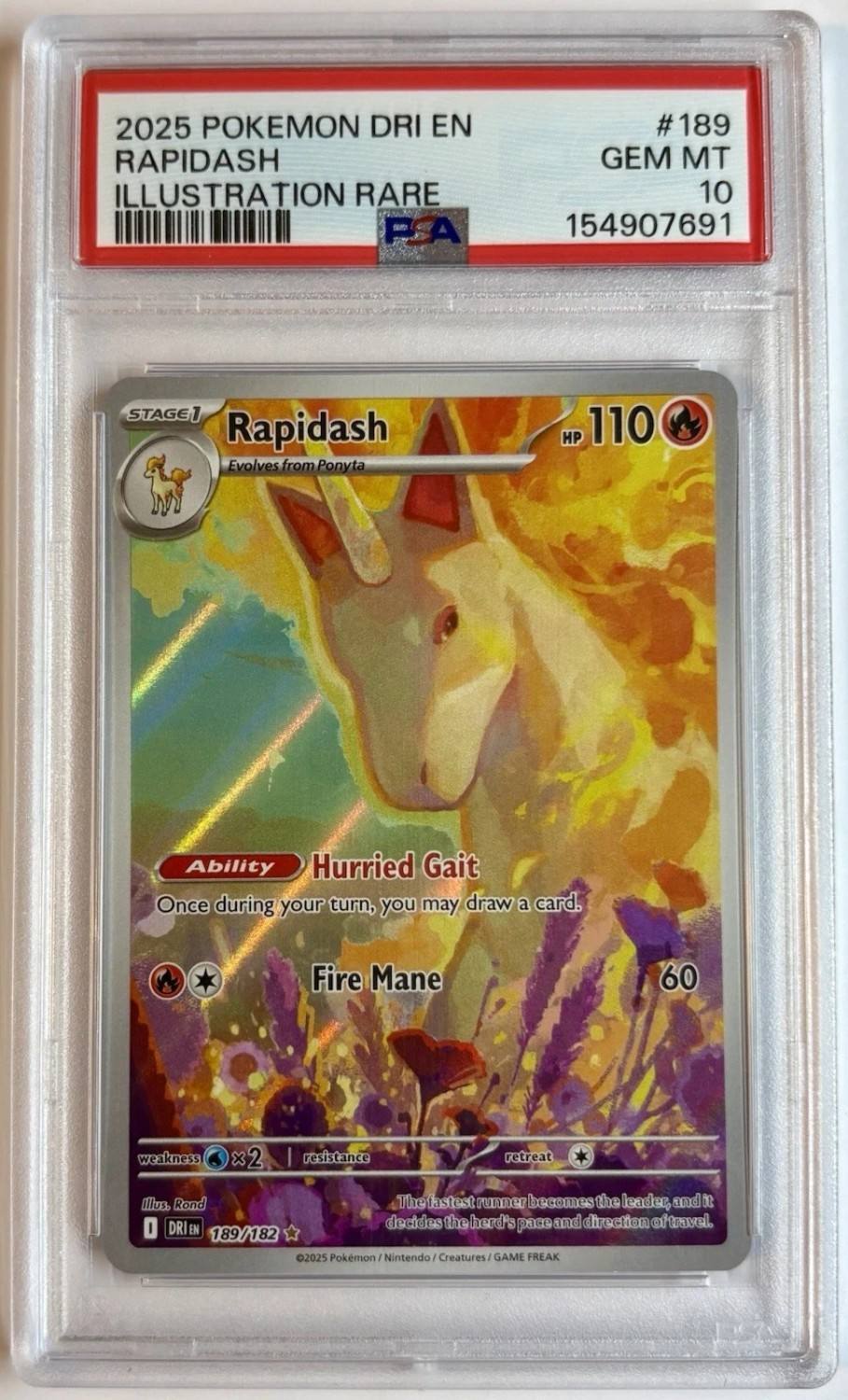 Rapidash