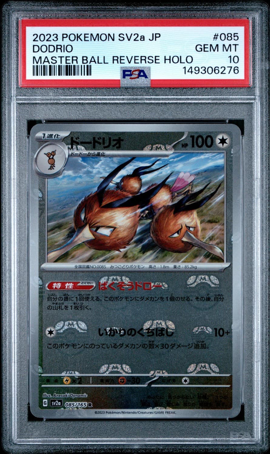 Dodrio