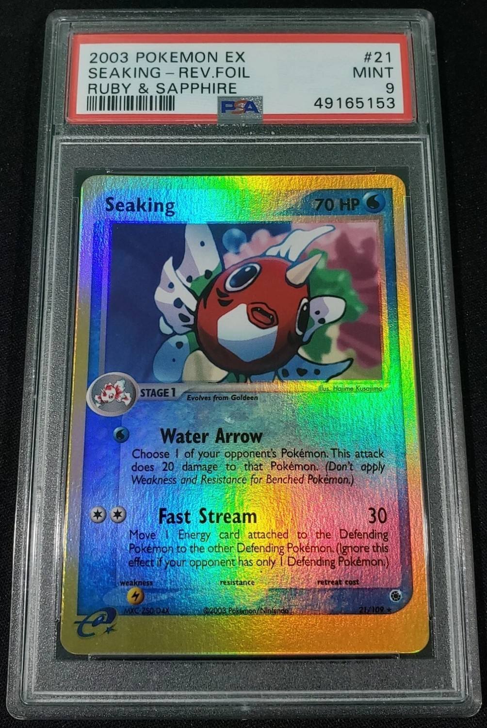 Seaking-Rev.foil