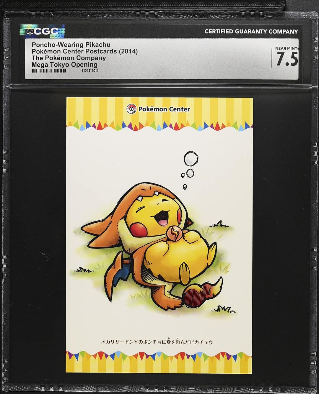 Poncho-Wearing Pikachu