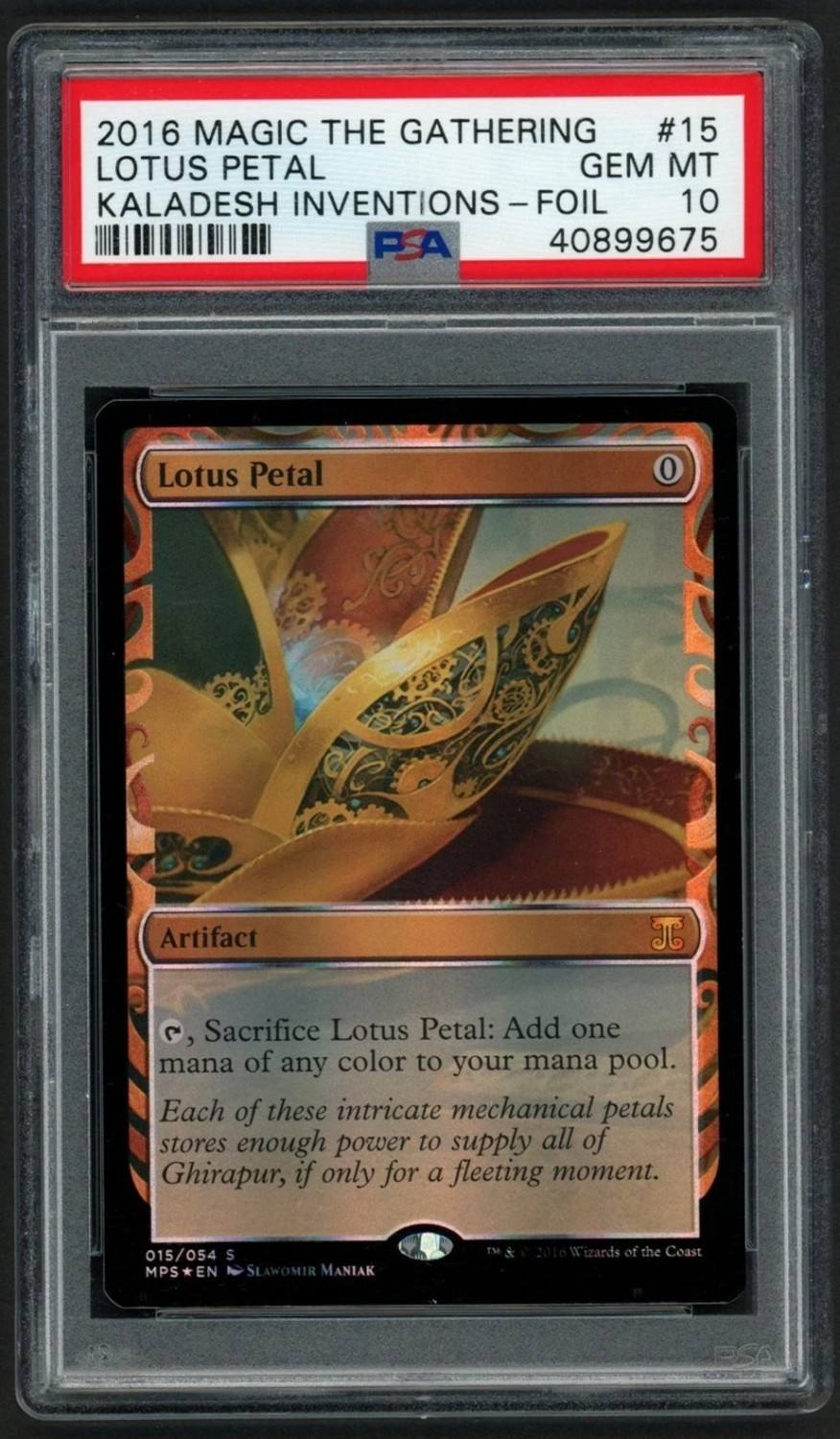 Lotus Petal M