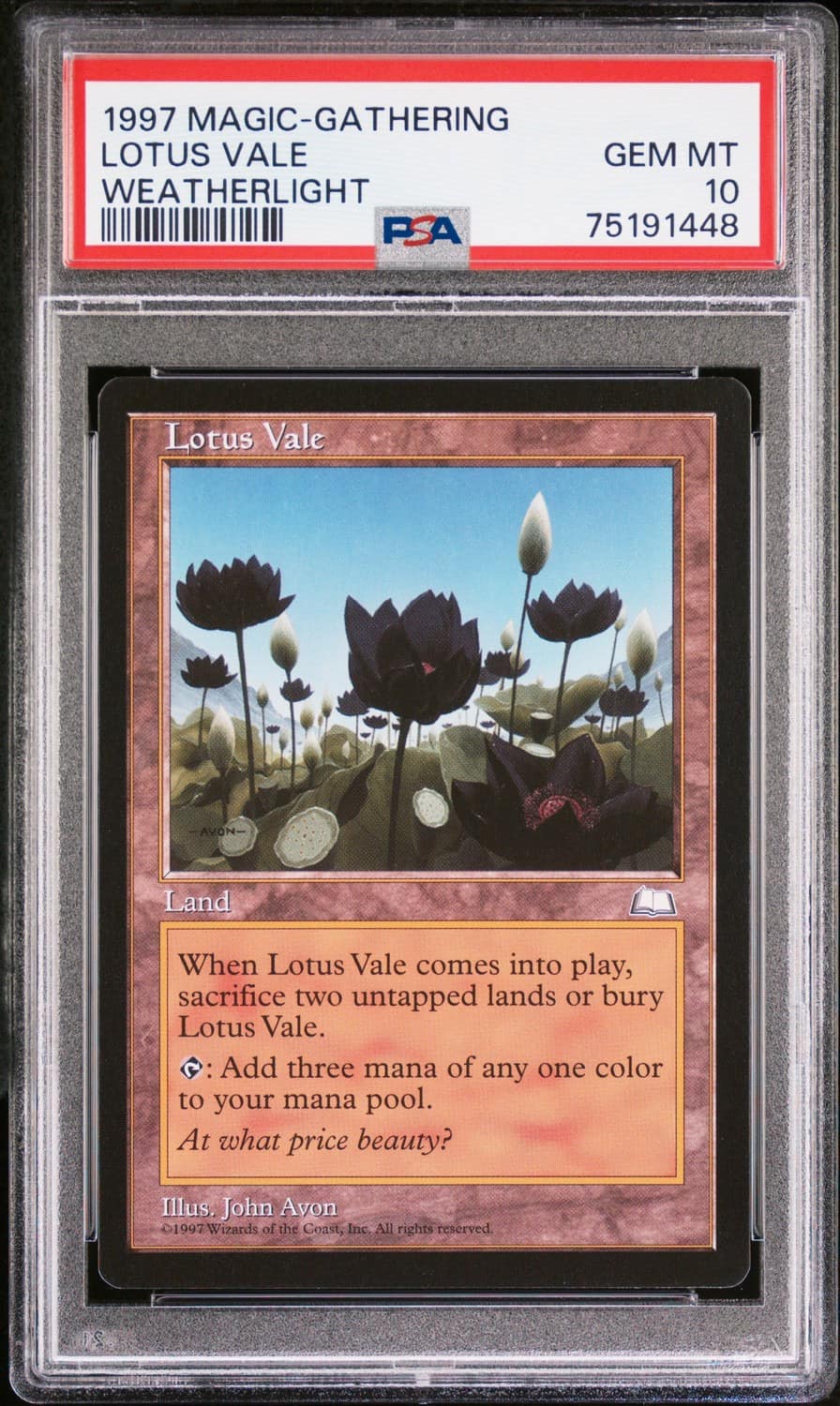 Lotus Vale