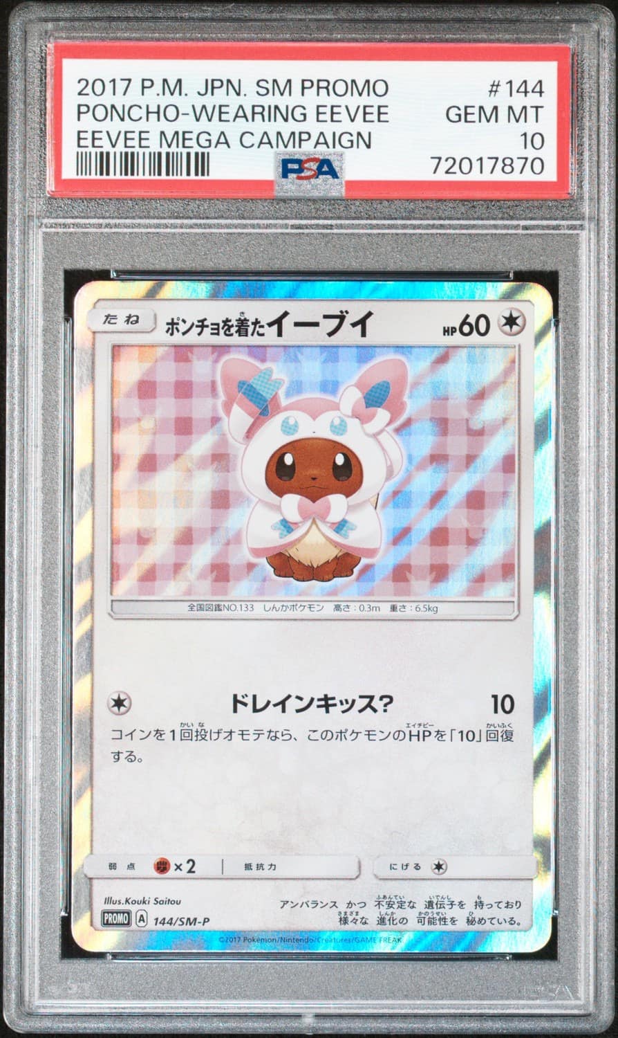 Poncho-Wearing Eevee