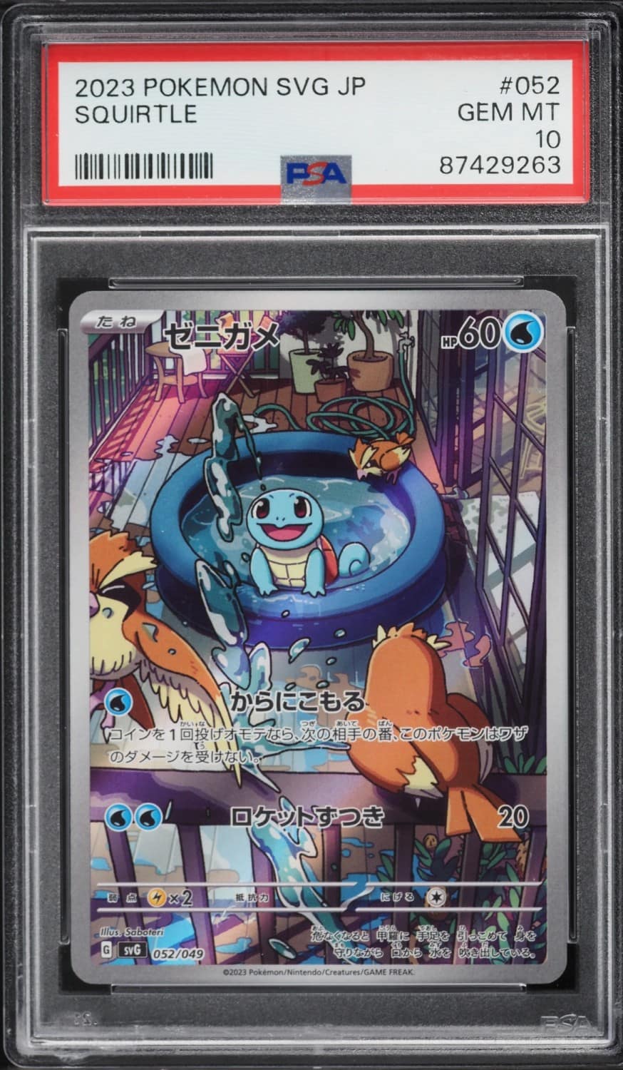 Squirtle