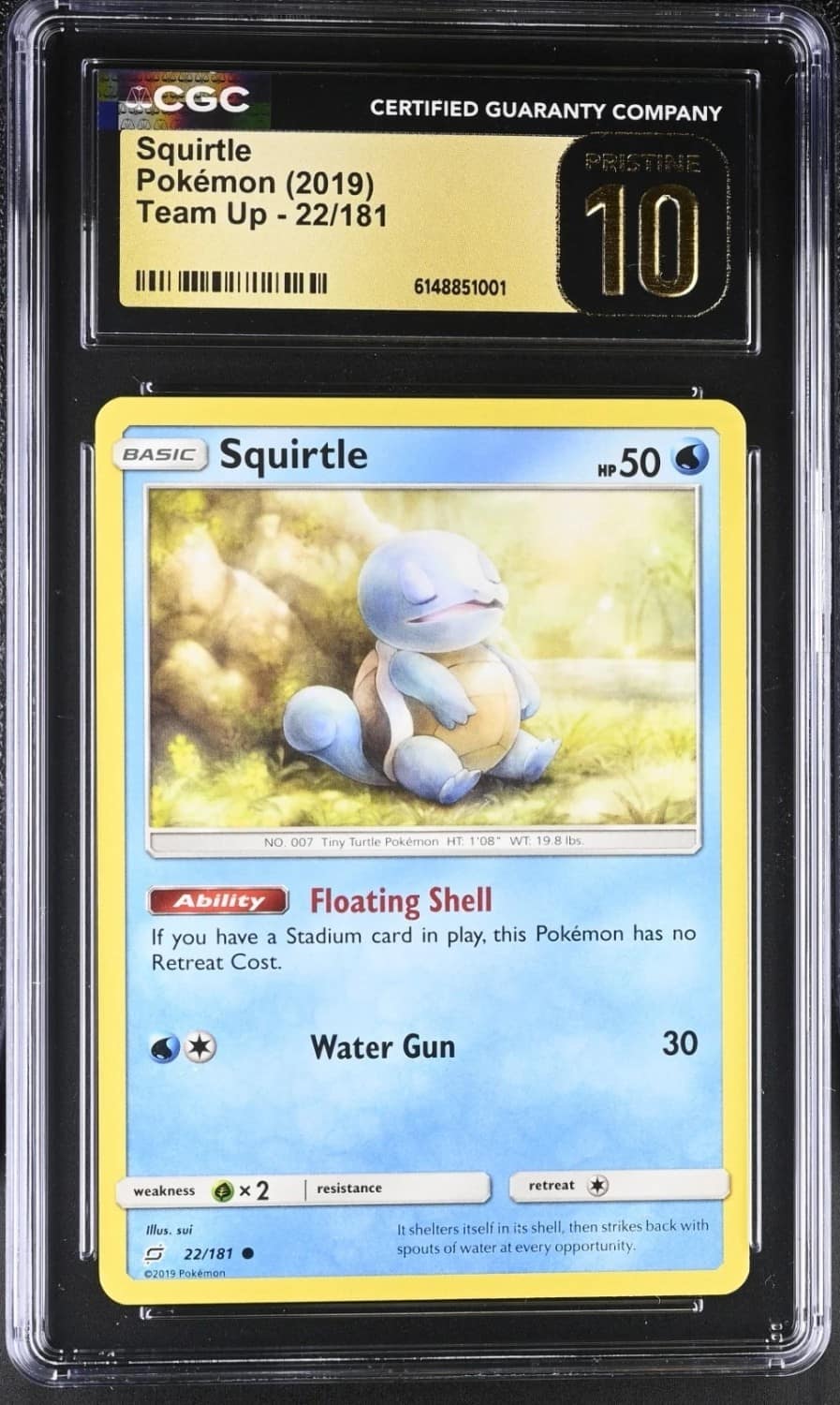 Squirtle