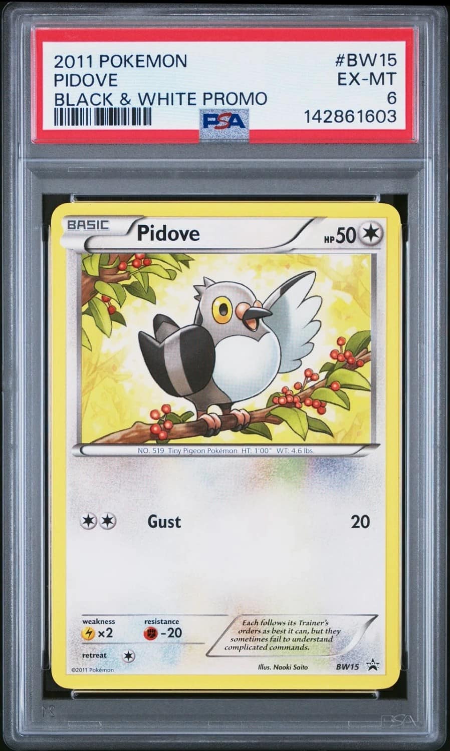 Pidove