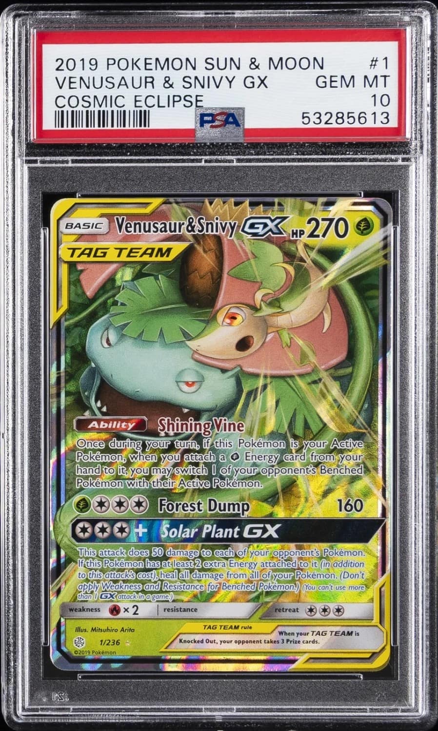 Venusaur & Snivy Gx