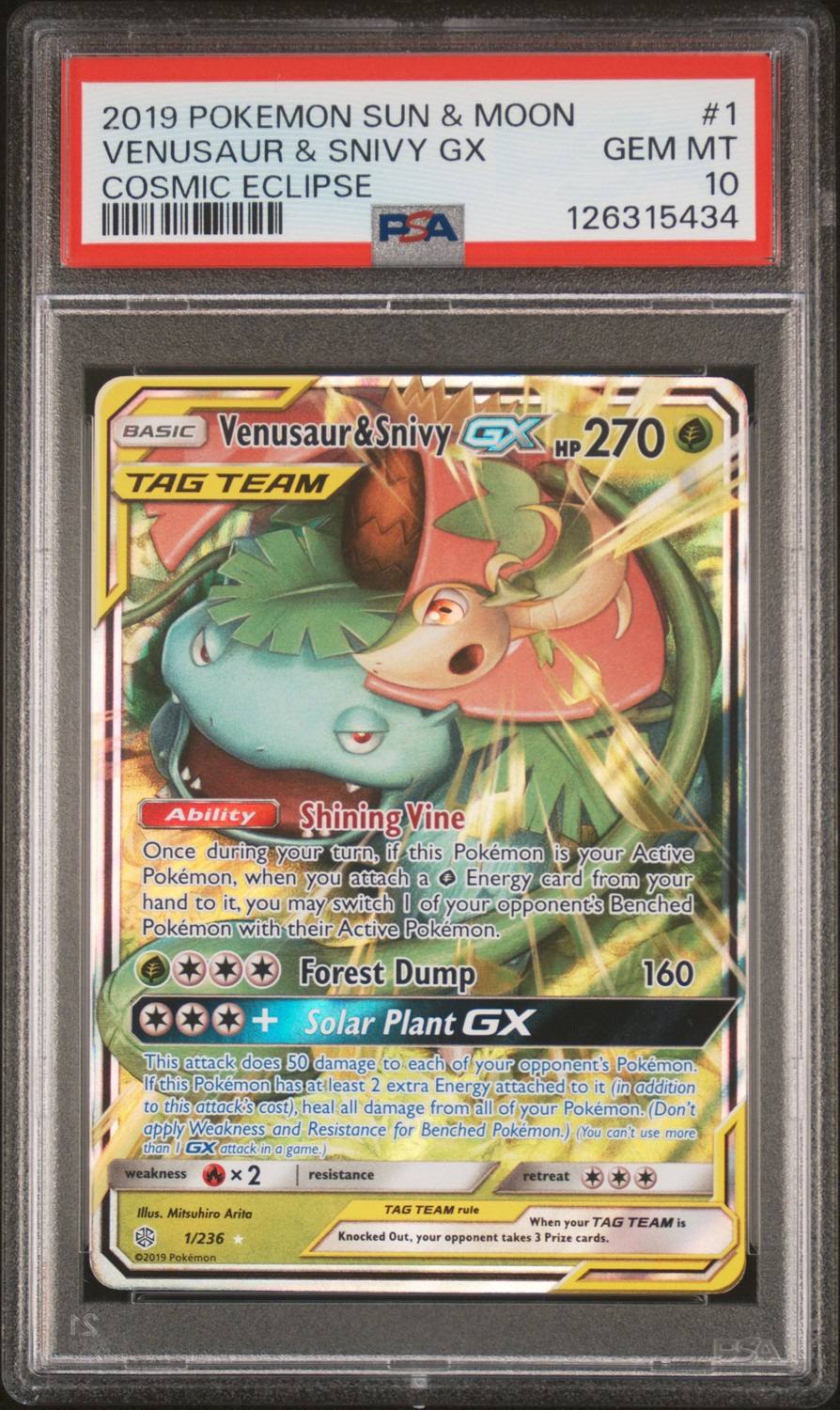 Venusaur & Snivy Gx