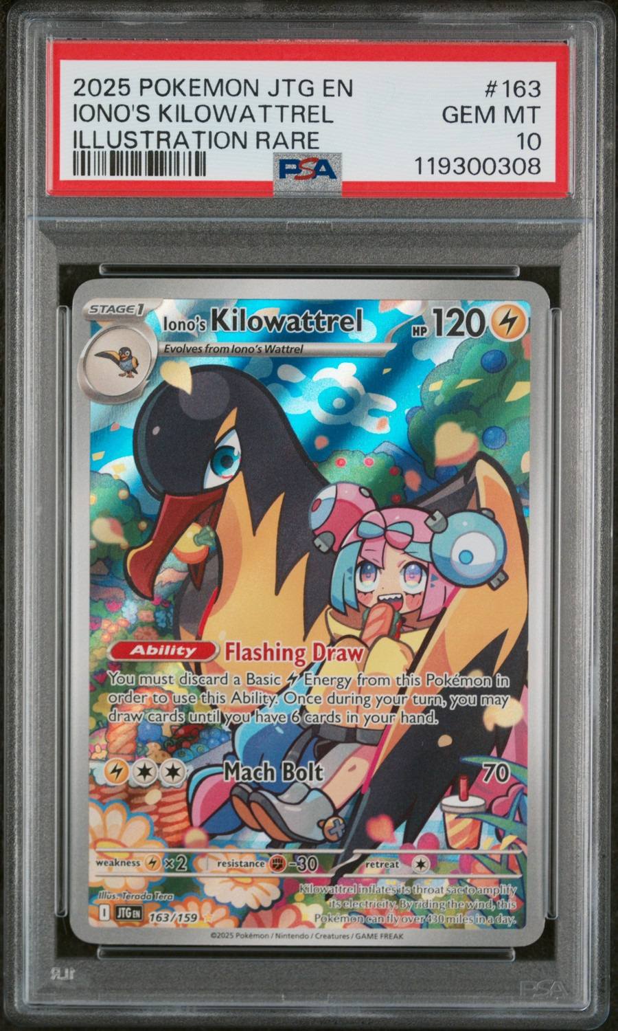 Iono'S Kilowattrel