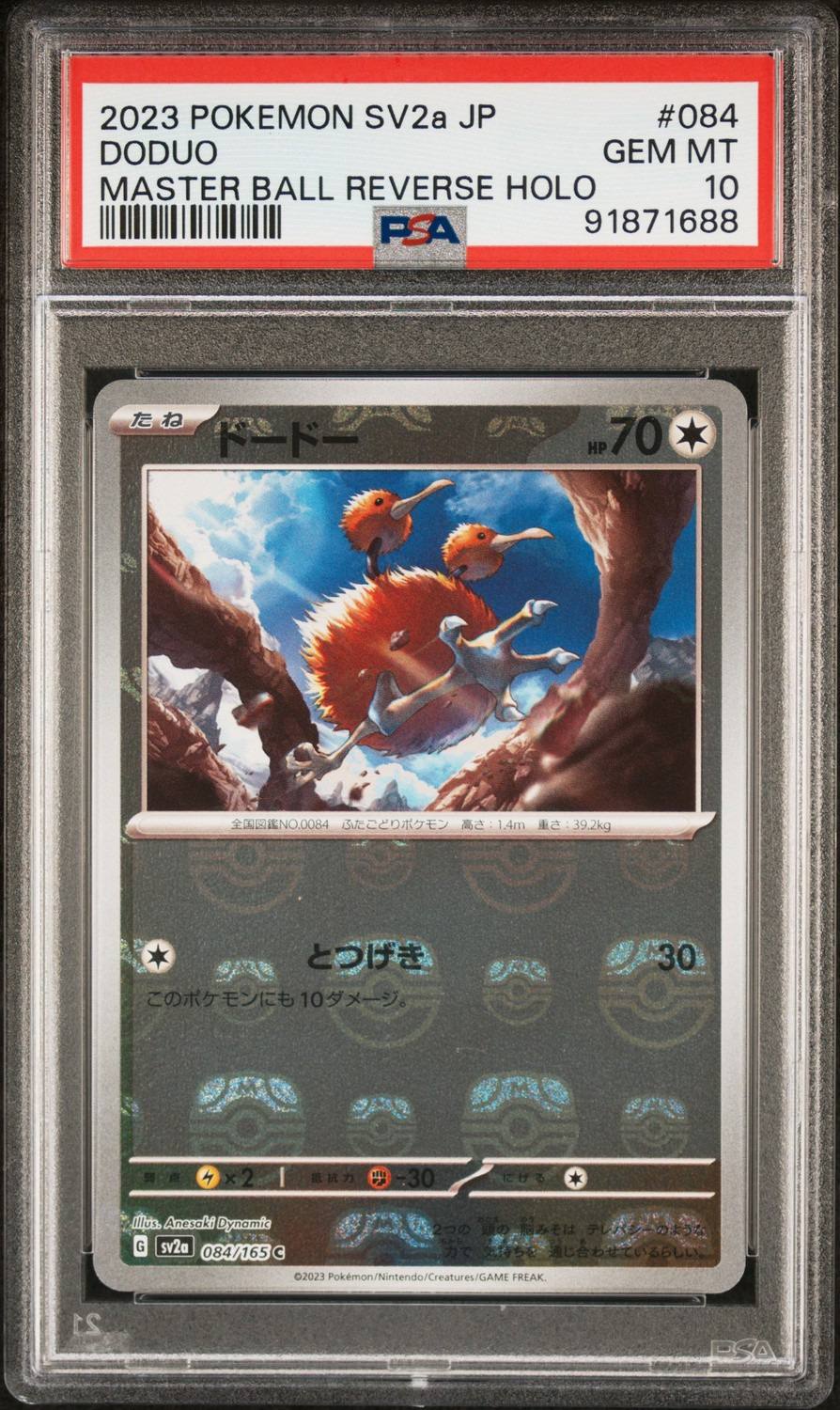 Doduo