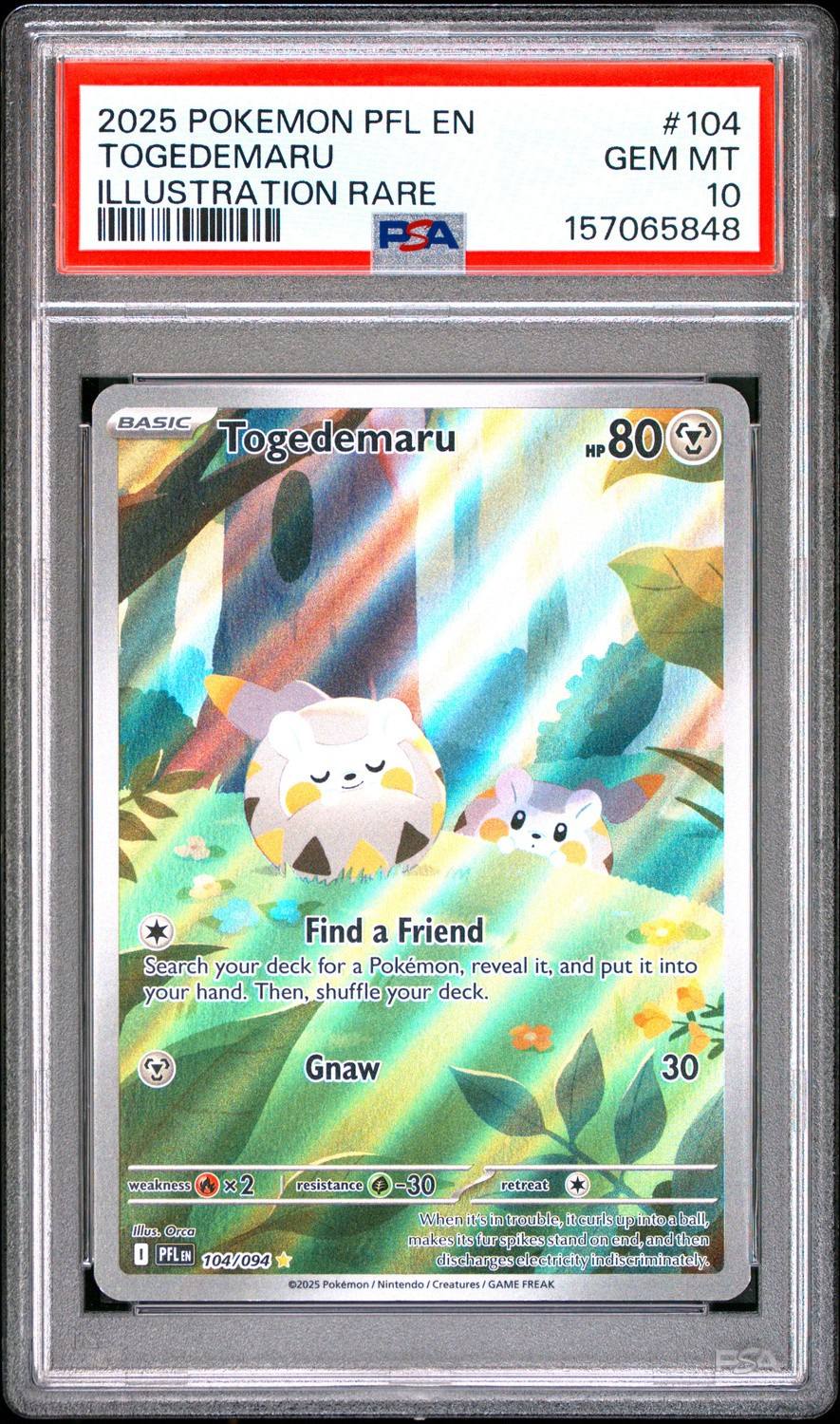 Togedemaru