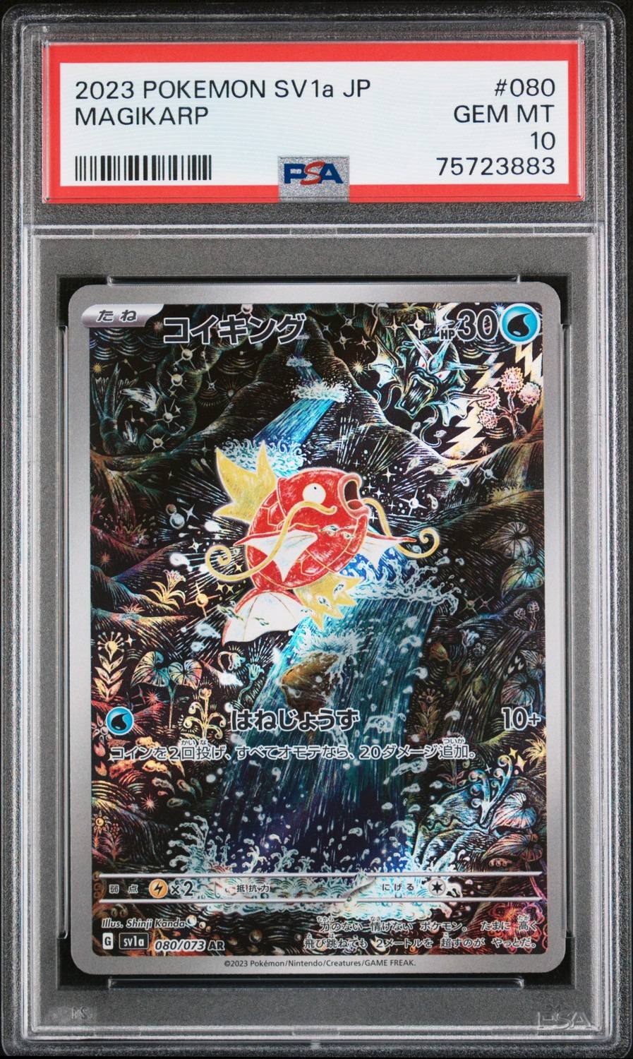 Magikarp