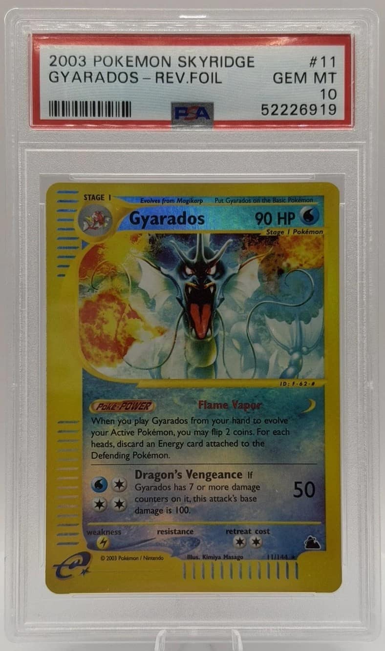 Gyarados R