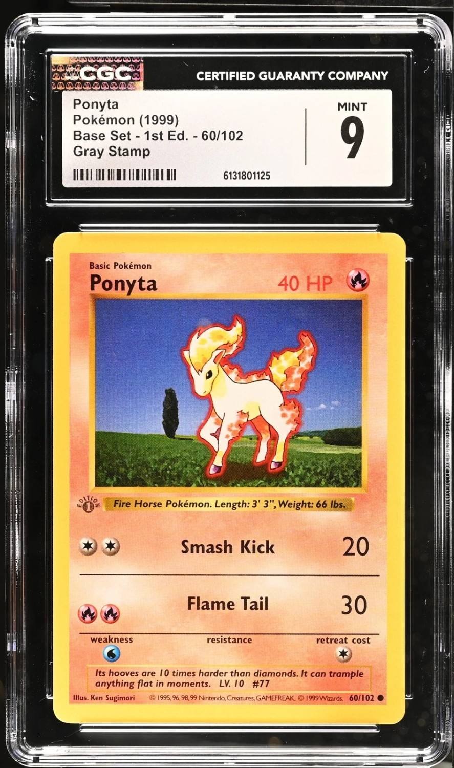 Ponyta