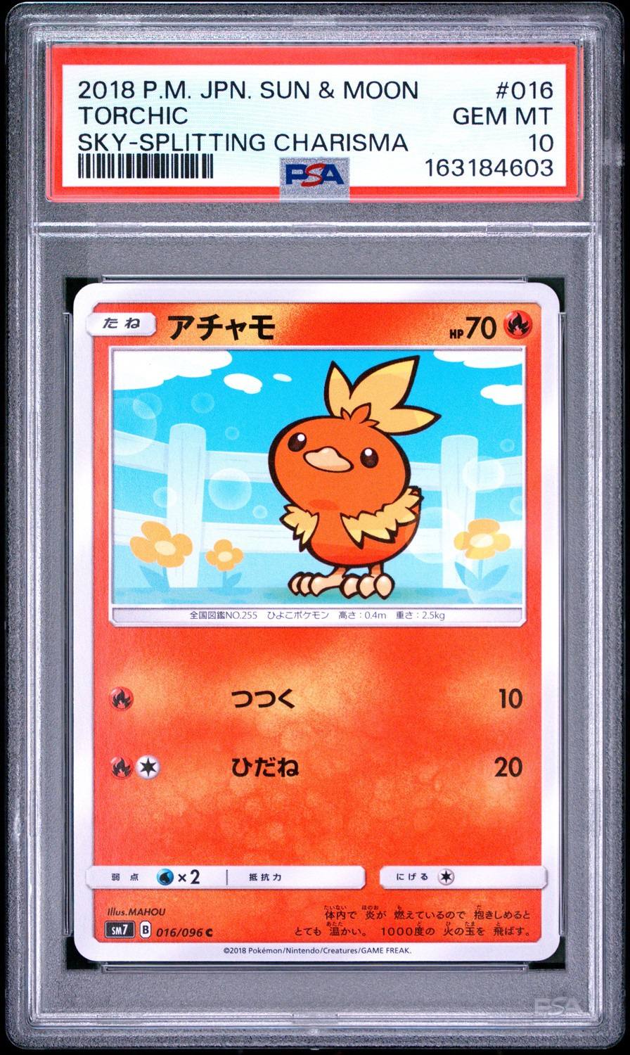 Torchic