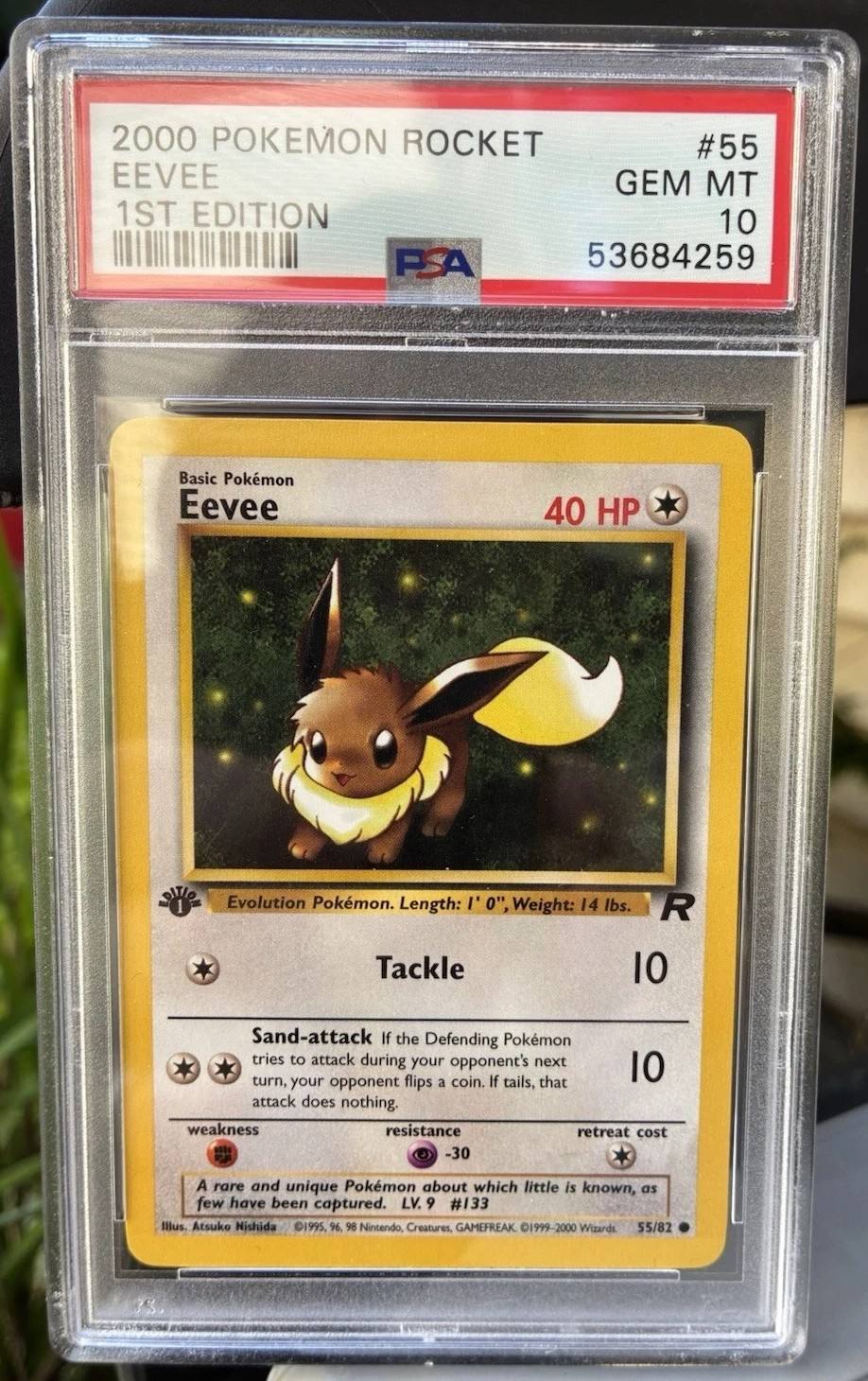 Eevee