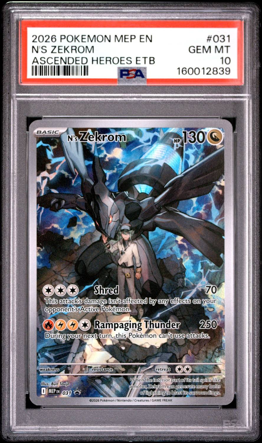 N'S Zekrom