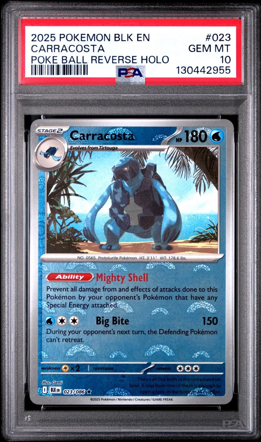 Carracosta