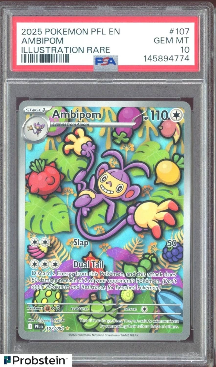 Ambipom