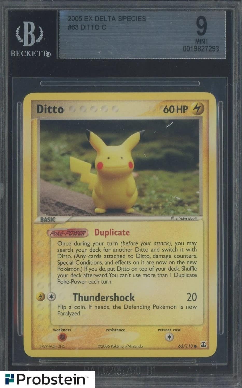 Ditto [pikachu]