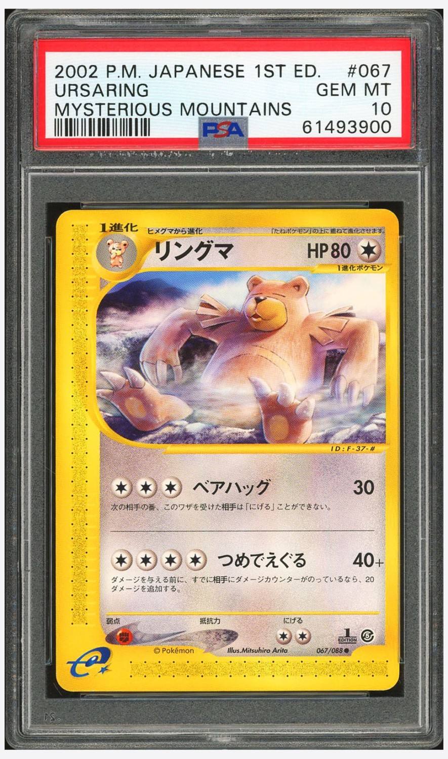 Ursaring