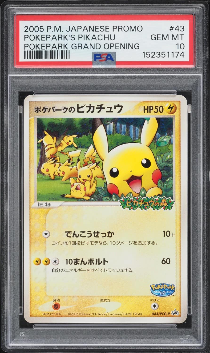 Pokepark'S Pikachu