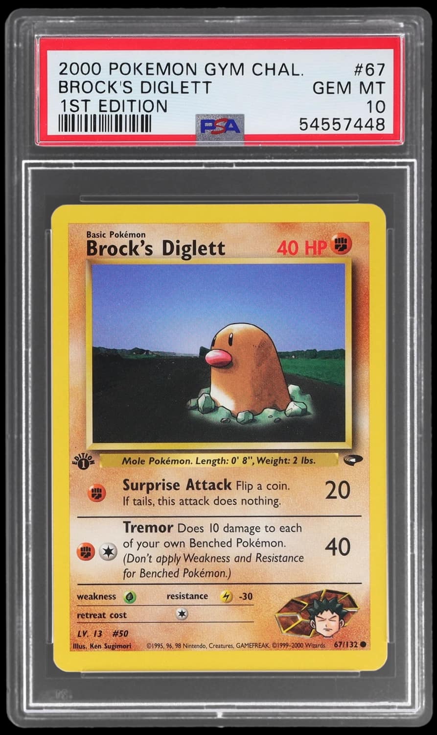 Brock'S Diglett