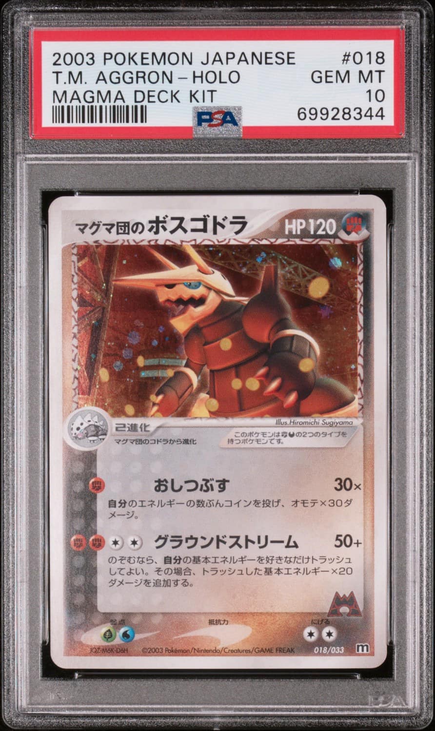 Team Magma'S Aggron
