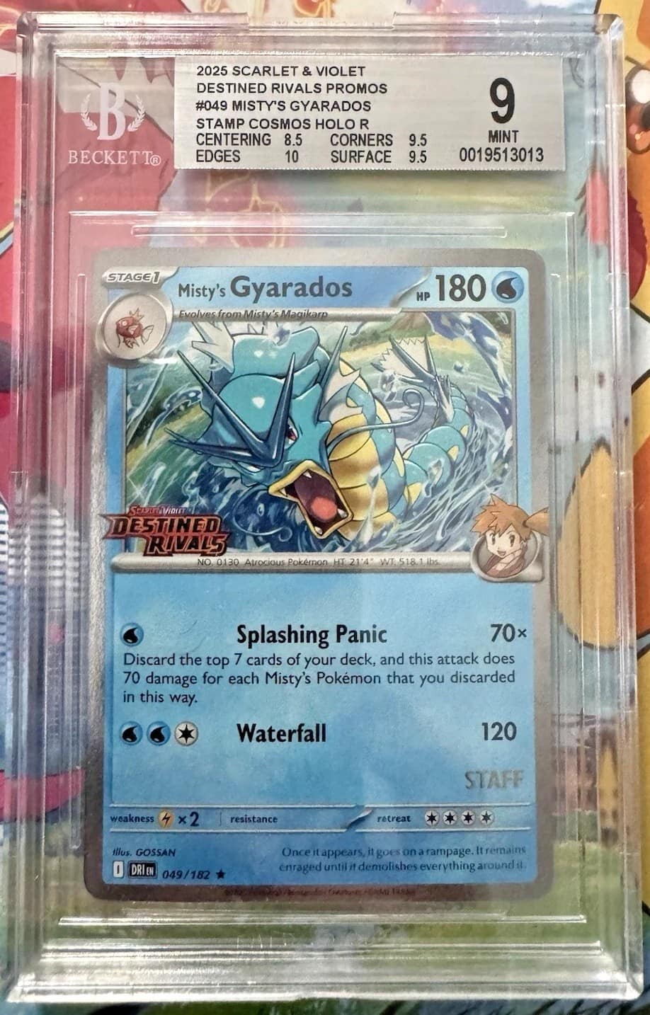 Misty'S Gyarados