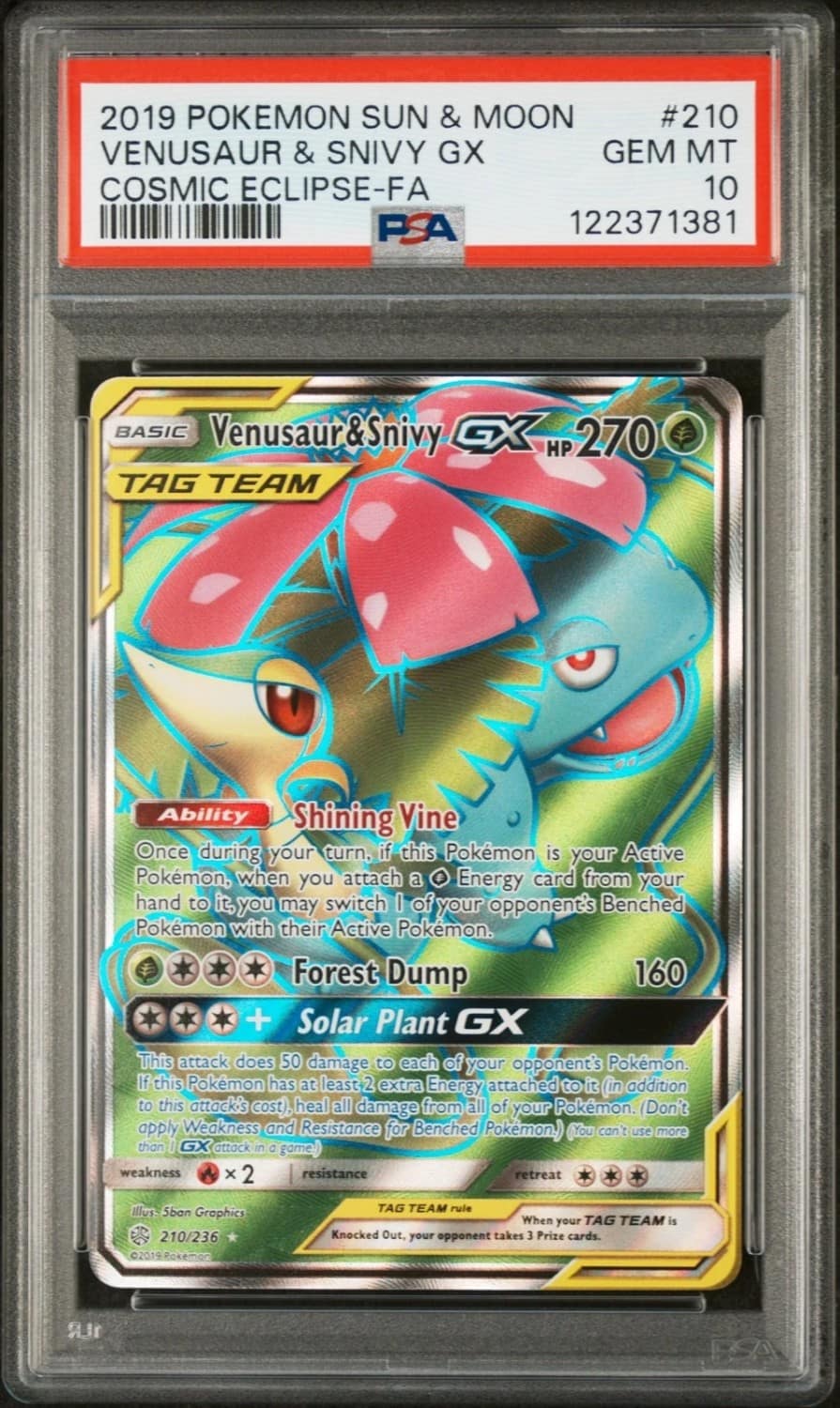 Venusaur & Snivy Gx