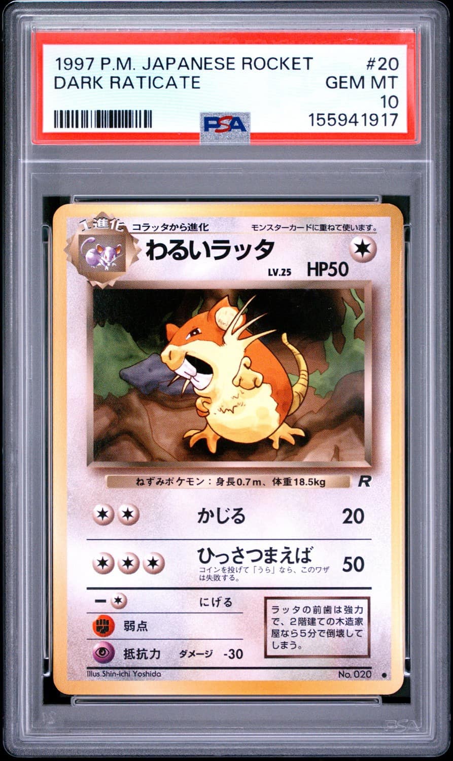 Dark Raticate